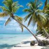 Best Remote Work Spots for Hispanics in America